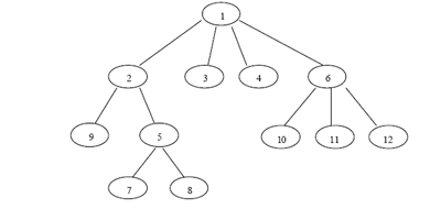 Représentation graphique du réseau VINE